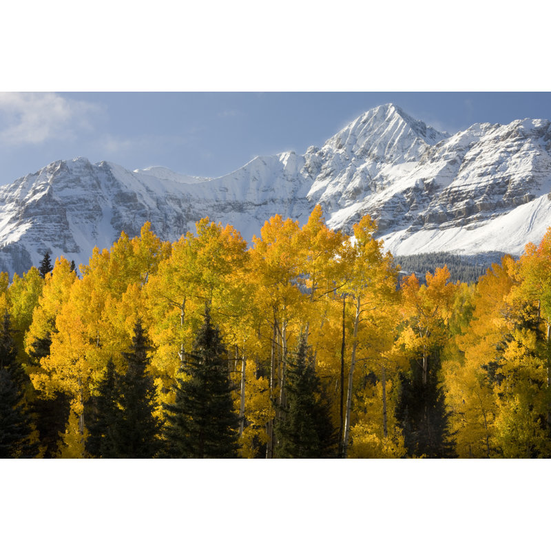 Scenic Colorado Mountains par Dougberry, H 20 po x l 30 po