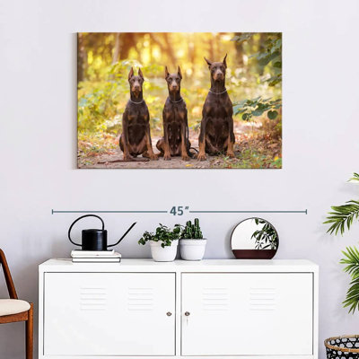 Doberman Pinschers