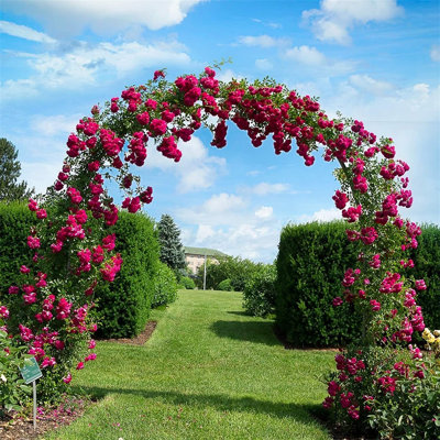 140cm W x 38cm D Metal Arbour in Black