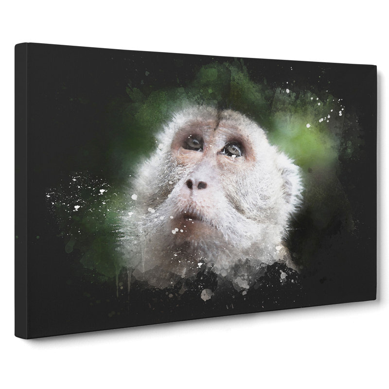 Macaque Monkey - Wrapped Canvas Print, 35cm H x 50cm W x 3cm D
