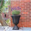 Pot Planter