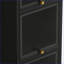 Armoires avec portes en verre à quatre niveaux, rangement à cinq niveaux - fer et verre, noir | Contemporain | Hall d'entrée-799819265