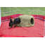 Parc Esme pour petits animaux Esme-787959299-787959297