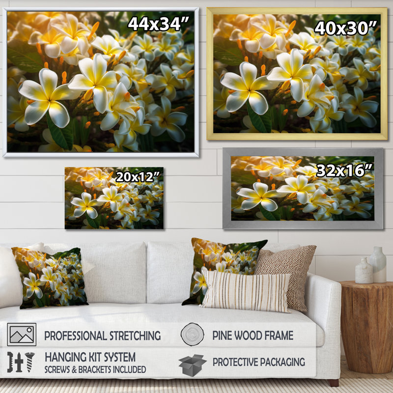 «Yellow White Exotic Plumeria Blooms I», reproduction sur toile, Cadre simple noir, H 12 po x l 20 po x P 1 po