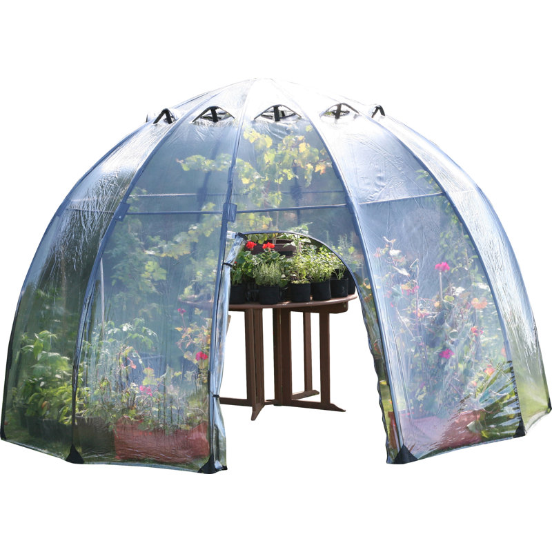Large Clear PVC and Fiberglass Walk-In Greenhouse