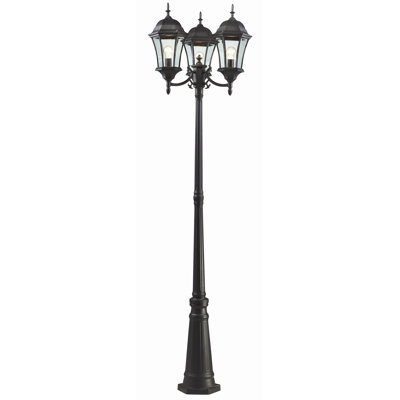 Alekh Transparent Lamp Post (Full)