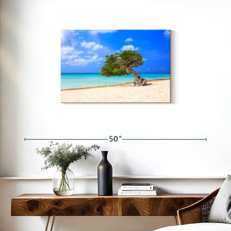 Arbre solitaire sur la plage d'Aruba, H 20 po x l 30 po