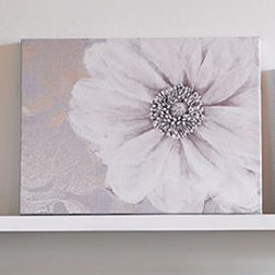 Plants & Flowers Print