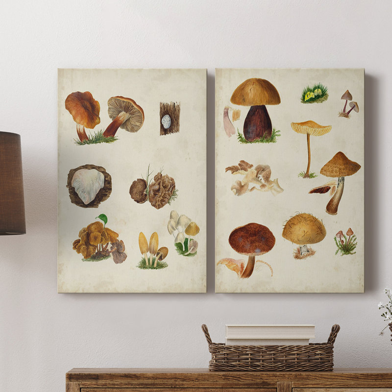 Toile tendue avec champignon I-Premium Gallery - prêt à être accroché