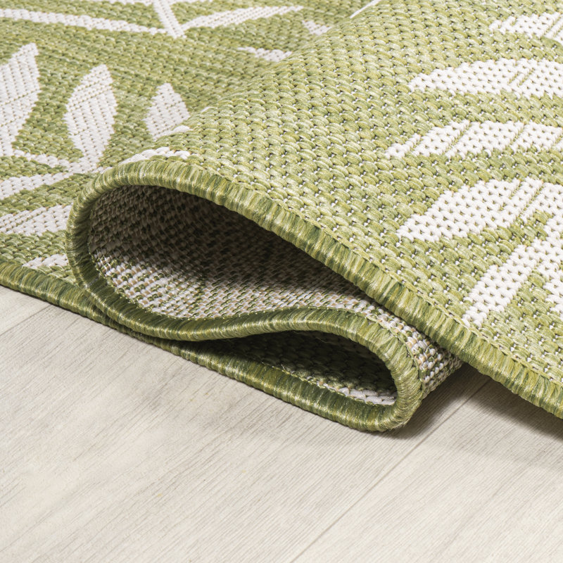 Tapis intérieur / extérieur vert / crème Marjory Nevis, Rectangle 3 pi 1 po x 5 pi