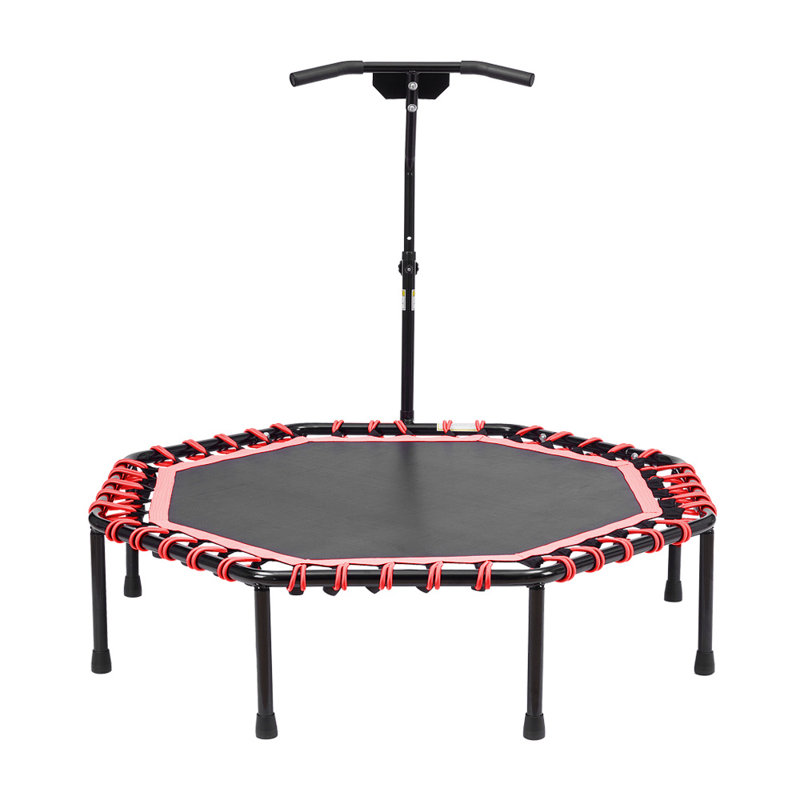 Crystina Freeport Park ft Octagon Backyard Trampoline, Black/Red