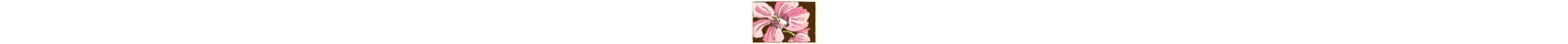 Petal Poetry V by Nancy Slocum - Wrapped Canvas Print-1580701175