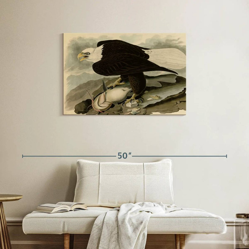 Brampt Whiteheaded Eagle, 24" H x 36" W