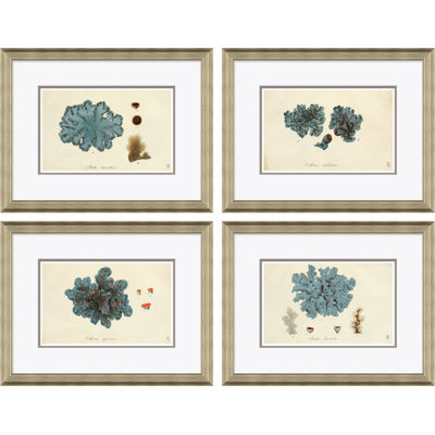 Paul Cezanne " Blue Coral " by Paul Cezanne 4 - Pieces