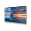 Boze Painting on Glass
