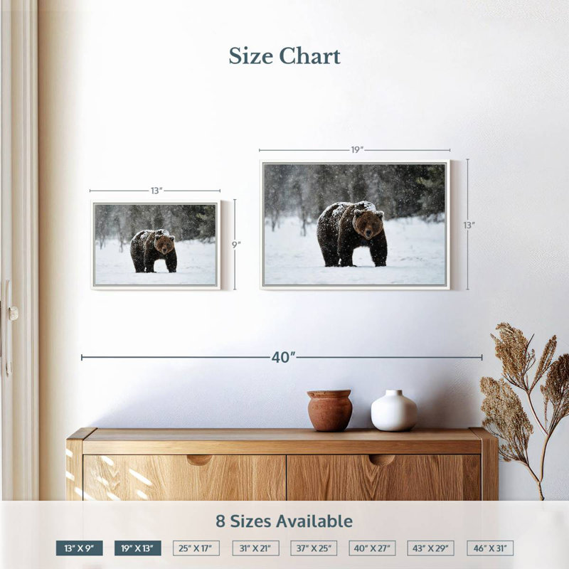 Ours grizzly d'hiver, Cadre flottant blanc, 19 po x 13 po