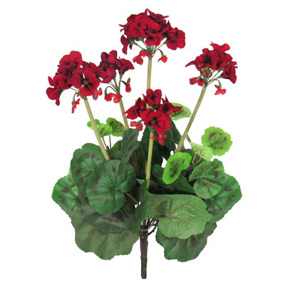 Geranium Arrangement