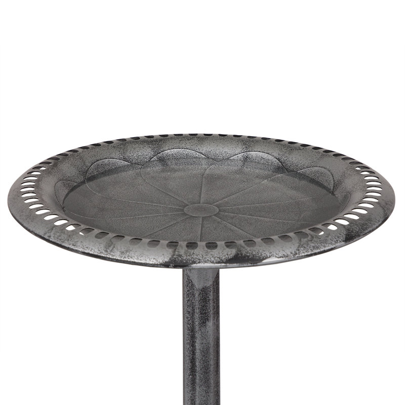 Bain d'oiseaux sur piédestal avec base à volutes et piquets, Gris