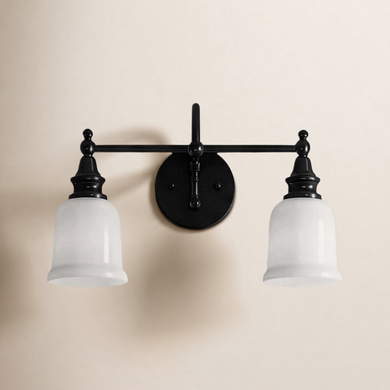 Cassiel 2-Light Dimmable Vanity Light, Black