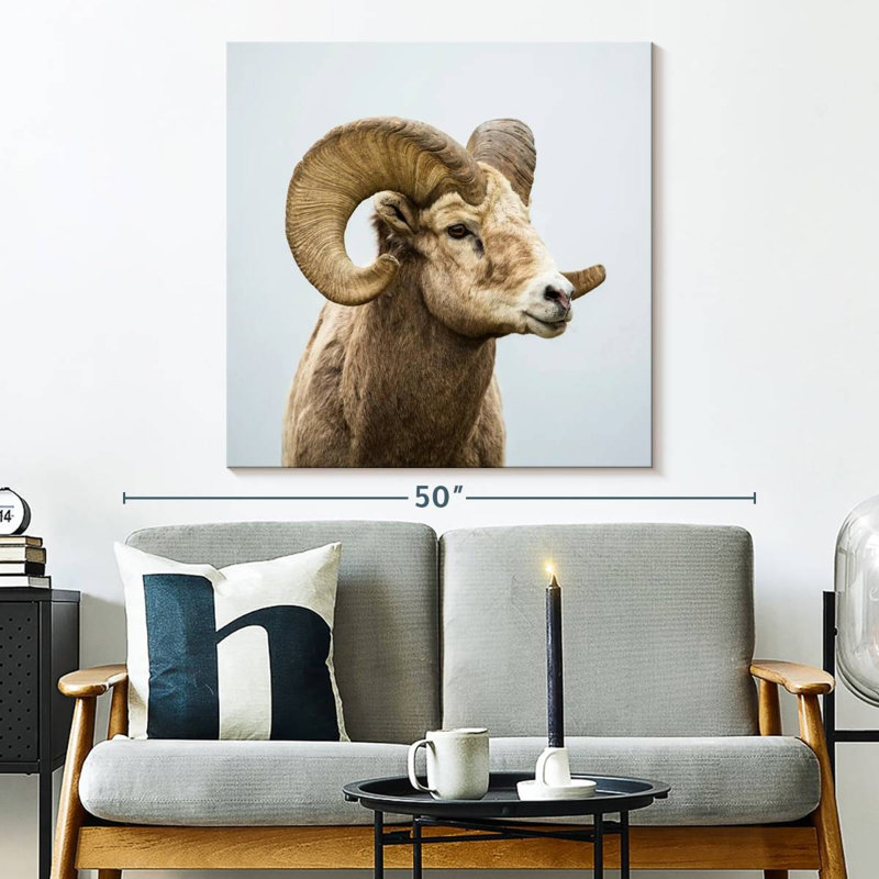 Mouflon solitaire, H 33 po x l 33 po