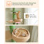 Arbre à chat à hauteur réglable du sol au plafond avec 5 niveaux, hamac remplaçable et griffoir super robuste pour chats d'intérieur