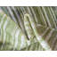 Tapis intérieur / extérieur vert Brodus-712332317