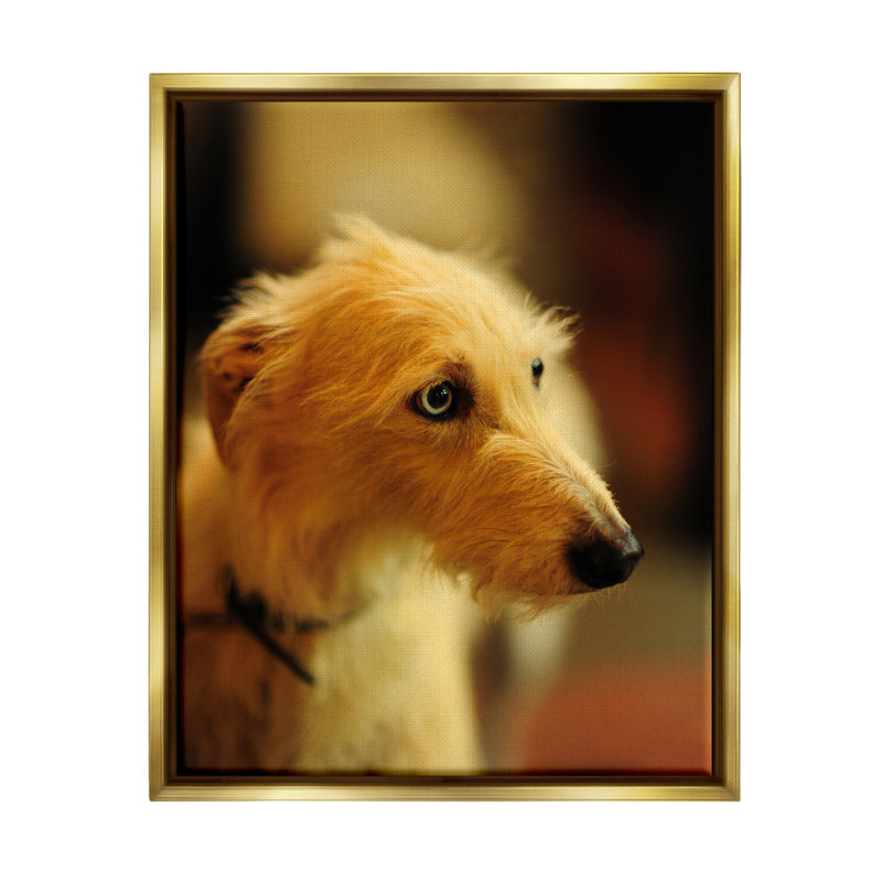 «Long Hair Terrier Dog» par James Dobson - photographie, H 21 po x l 17 po x P 1,5 po, Cadre flottant métallique doré