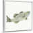 Cadre flottant blanc