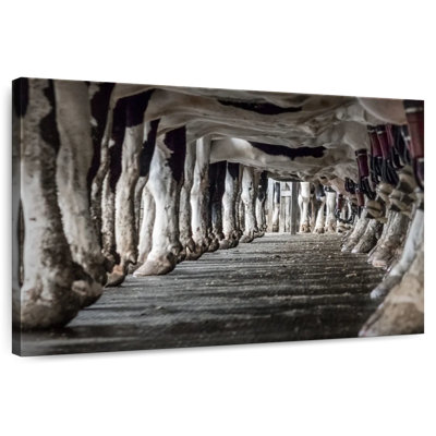 Brampt Milking Cows