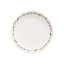 Fine Stoneware Dinner Plate