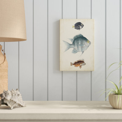 «Antique Fish Species III», peinture sur toile
