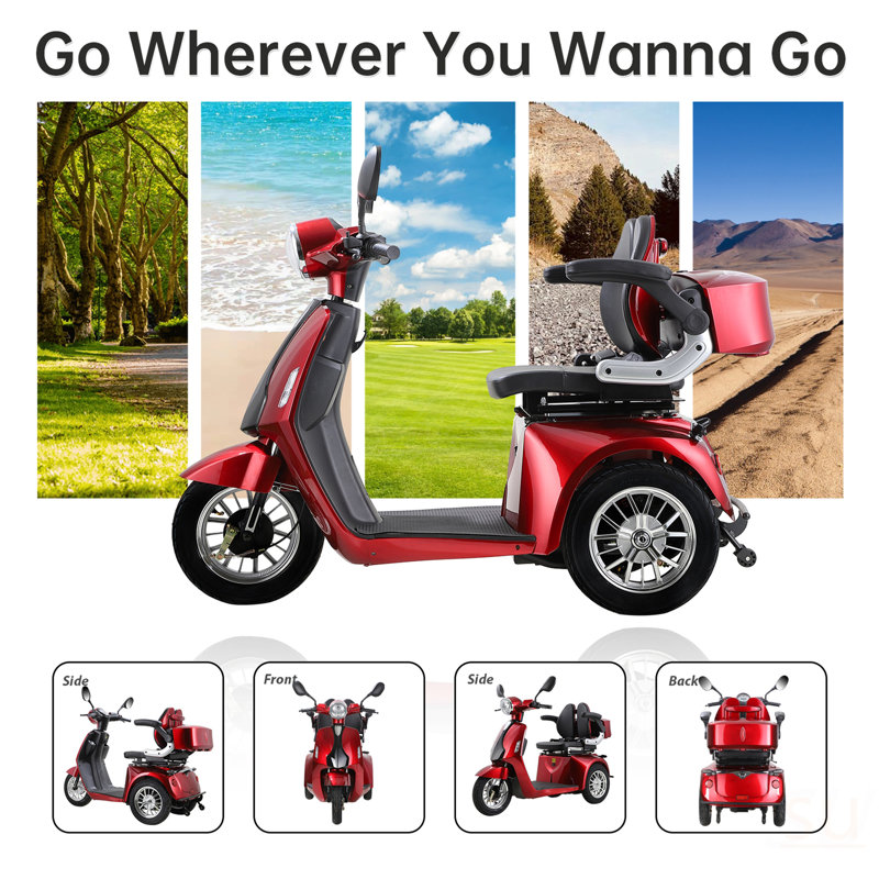 Scooters pour personnes à mobilité réduite 800W