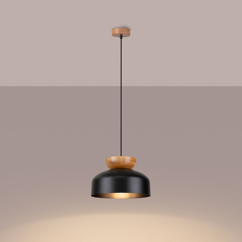 1 - Light Natural Pendant, Black