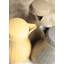Carafe en mousse Eco-Serv sans BPA-50652871