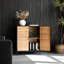2 - Door Rectangle Accent Cabinet