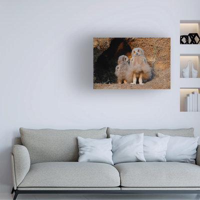 Assaf Gavra Marilyn Monroe Canvas Art