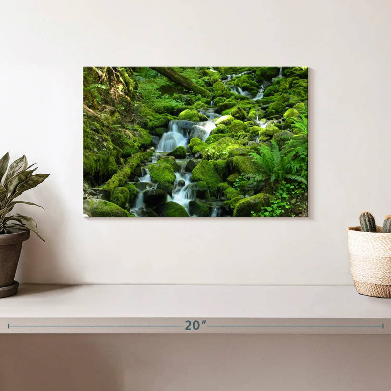 Alvord Stream au parc national olympique, H 8 po x l 12 po
