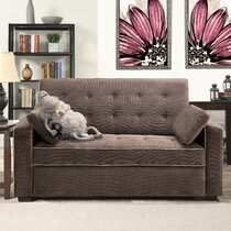 Isadore Queen Size 2-Cushion Fabric Sleeper Sofa with Tufted Back