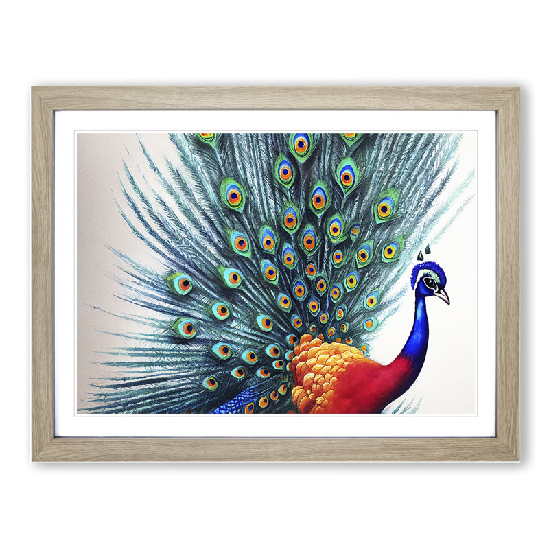 Watercolour Peacock Art - Single Picture Frame Painting, 46cm H x 64cm W x 2cm D, Oak