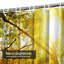 Rideau de douche avec 12 crochets Yellow Autumn Park-1741479371