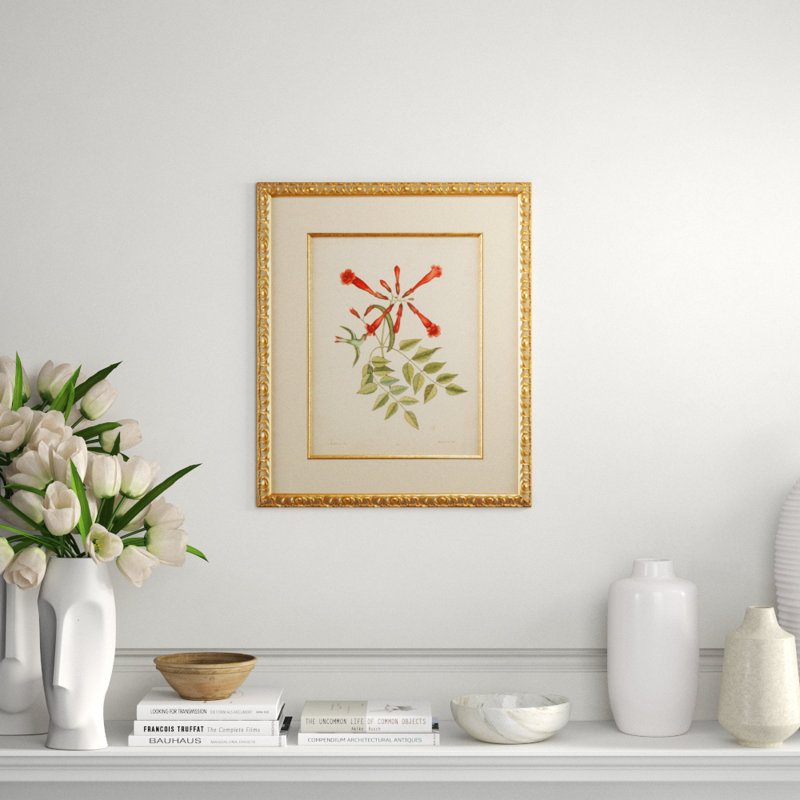 Catesby Bird And Botanical VI Print
