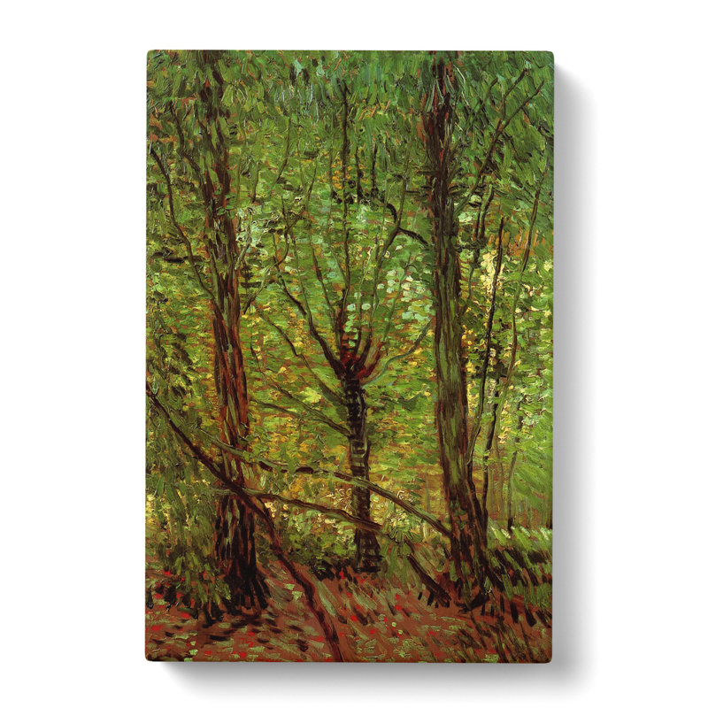 Trees And Undergrowth by Vincent Van Gogh - Wrapped Canvas Painting, 50cm H x 35cm W x 3cm D
