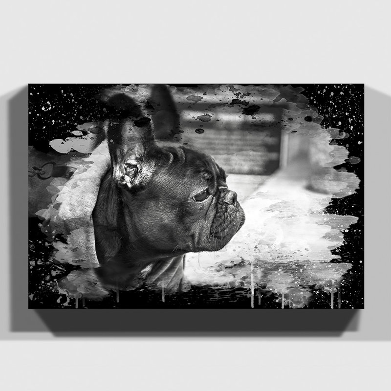 Black French Bulldog - Wrapped Canvas, 40cm H x 60cm W