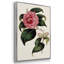 Mélange floral rose I-91887153-91887157