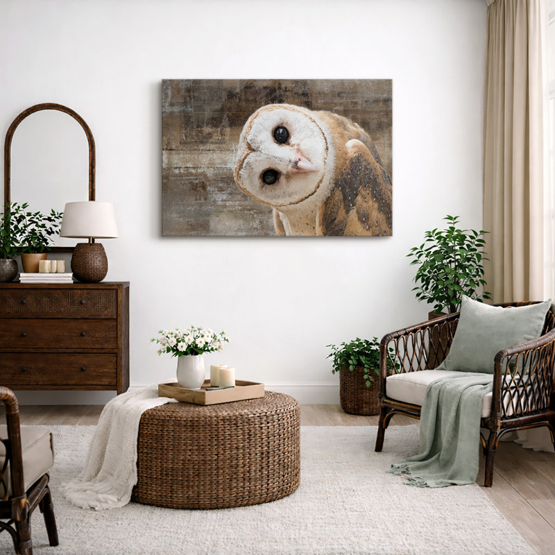 «Bird Bird Curious Owl Look» (Tyto Albahead), tête en gros plan sur toile, Toile tendue, H 32 po x l 48 po, Sans cadre