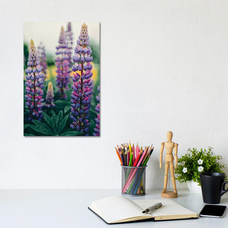 Lupines In A Spring Field by Olivia Joy StClaire - Wrapped Canvas Print, 20.32 cm H x 30.48 cm W