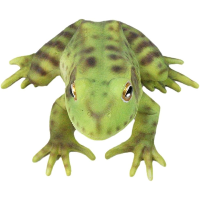 Figurine Amphibian Wild Creatures