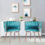 Fauteuil d'appoint en velours-1465119031