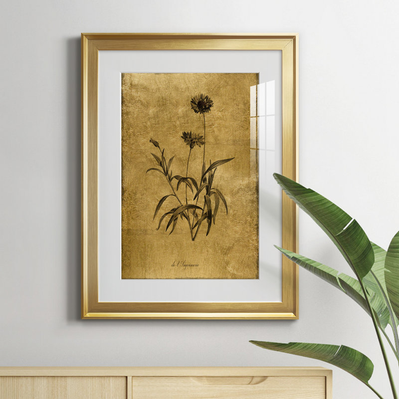 Croquis doré Botanique I - Cadre photo, reproduction d'art sur papier, H 24,5 po x l 18,5 po x P 1,5 po, Or