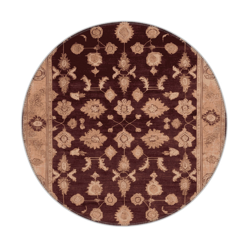 Overdyed Brown Indoor and Outdoor Area Rug, Round 5'